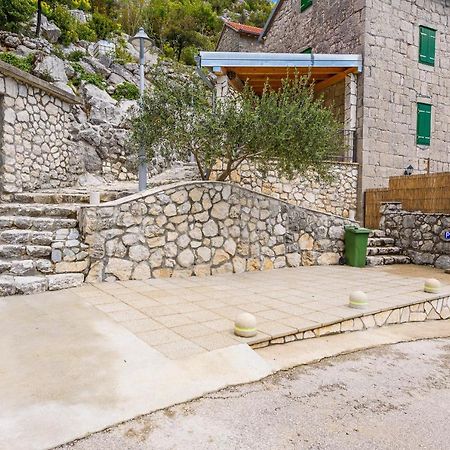 Villa Lazini Dvori Stasevica Экстерьер фото